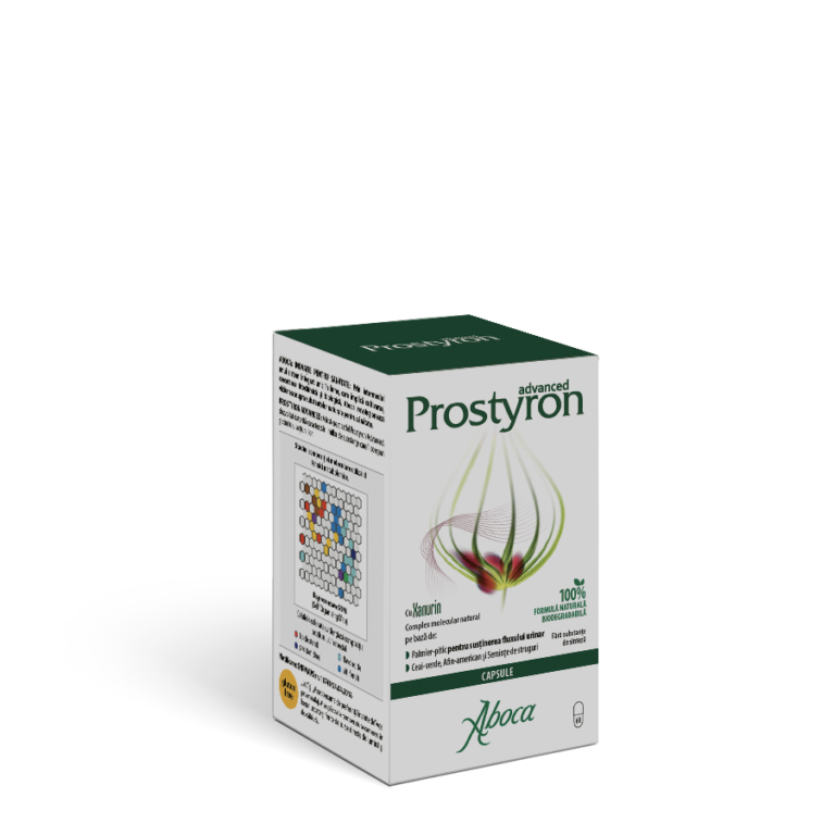 Prostyron-ROM