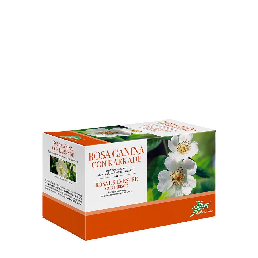 Rosa-canina-ITA