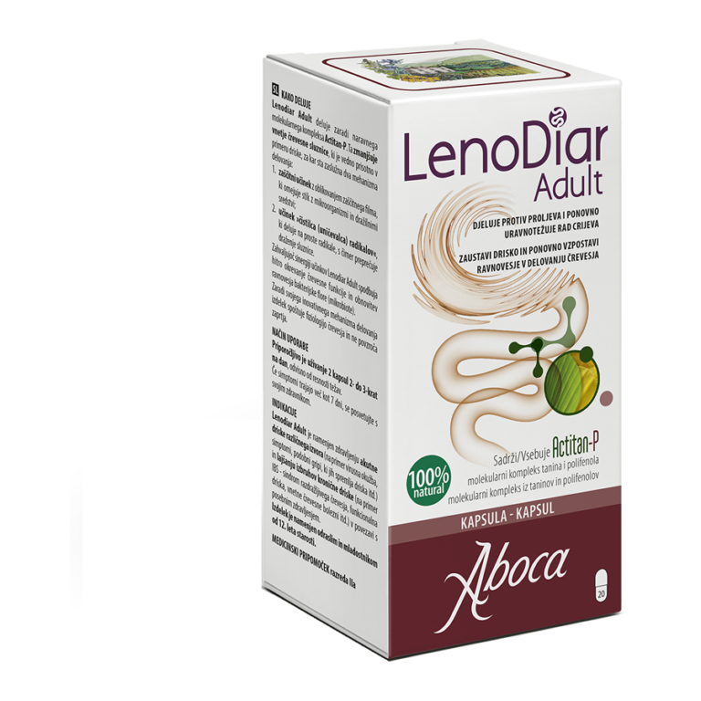 Lenoarid_Adult_Croazia