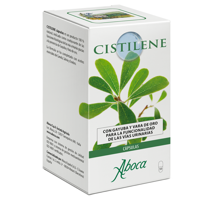 cistilene_ES
