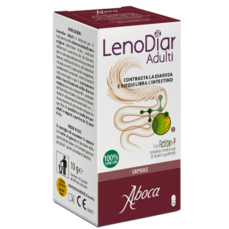 lenodiar_adult_EN