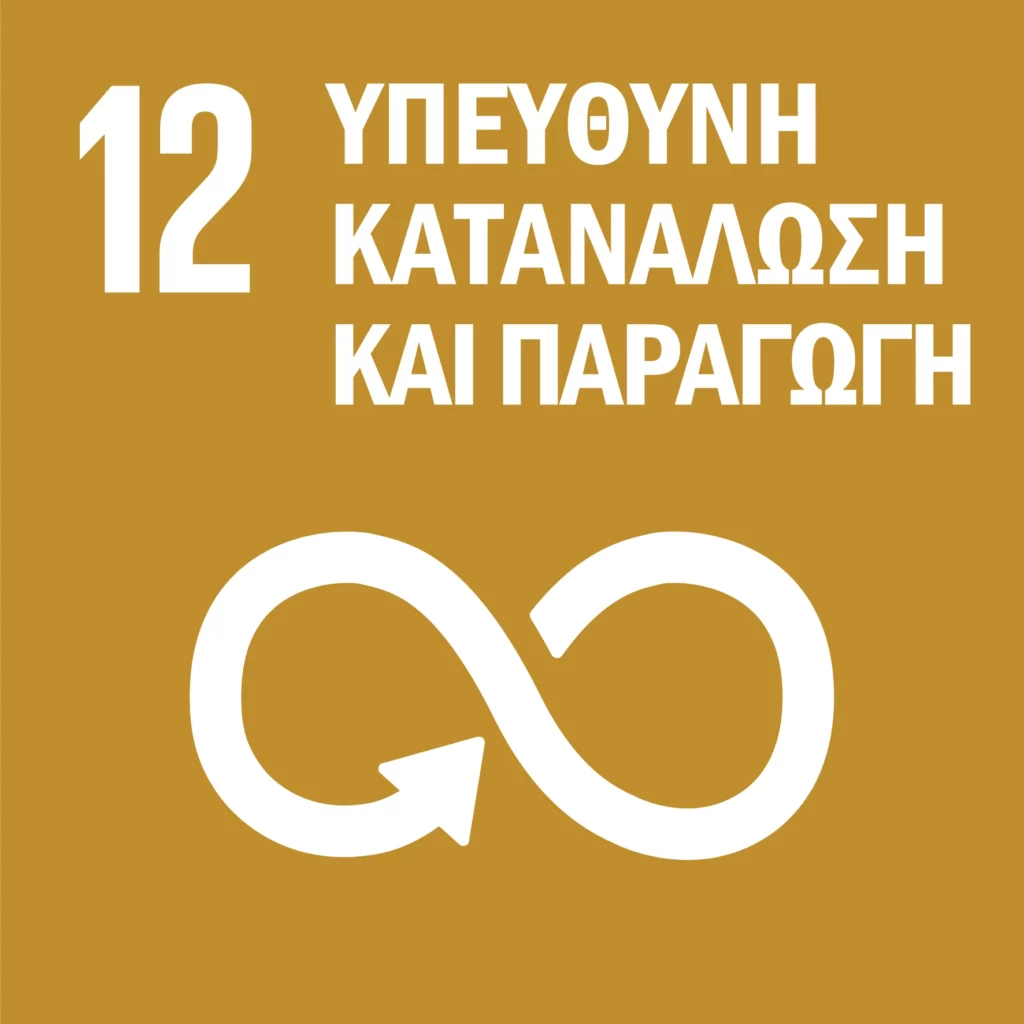 SDG-icon-GR_RGB-12