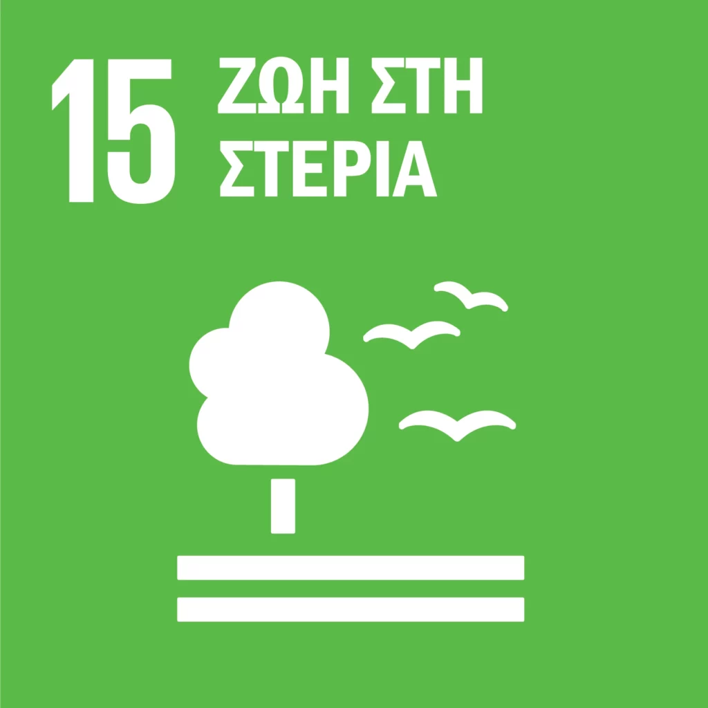 SDG-icon-GR_RGB-15