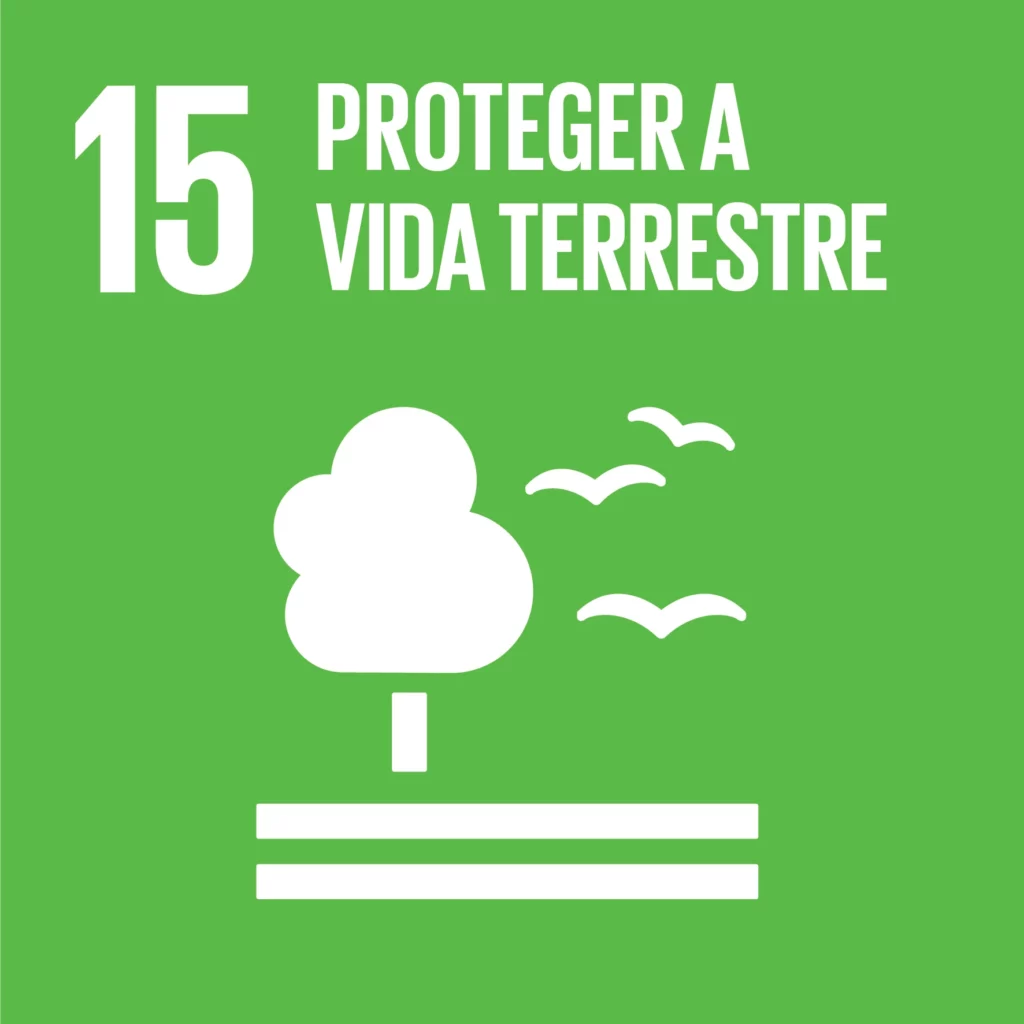 SDG-icon-PT-RGB-15-1