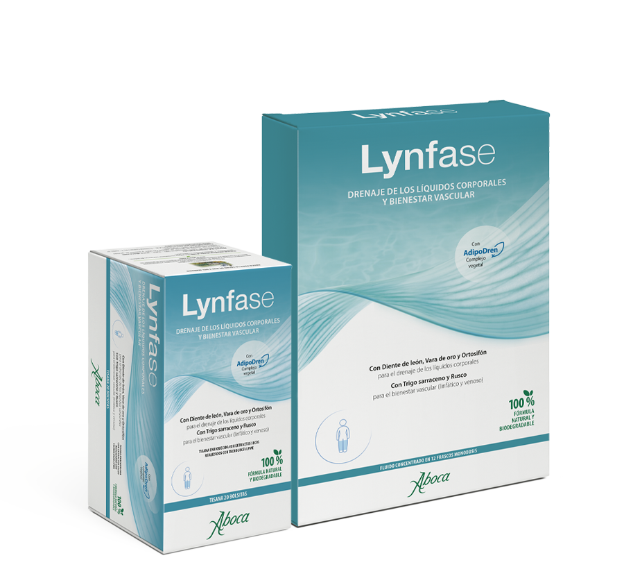 Lynfase