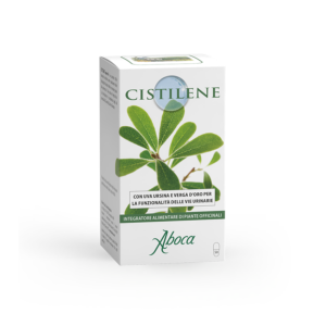 Cistilene_IT