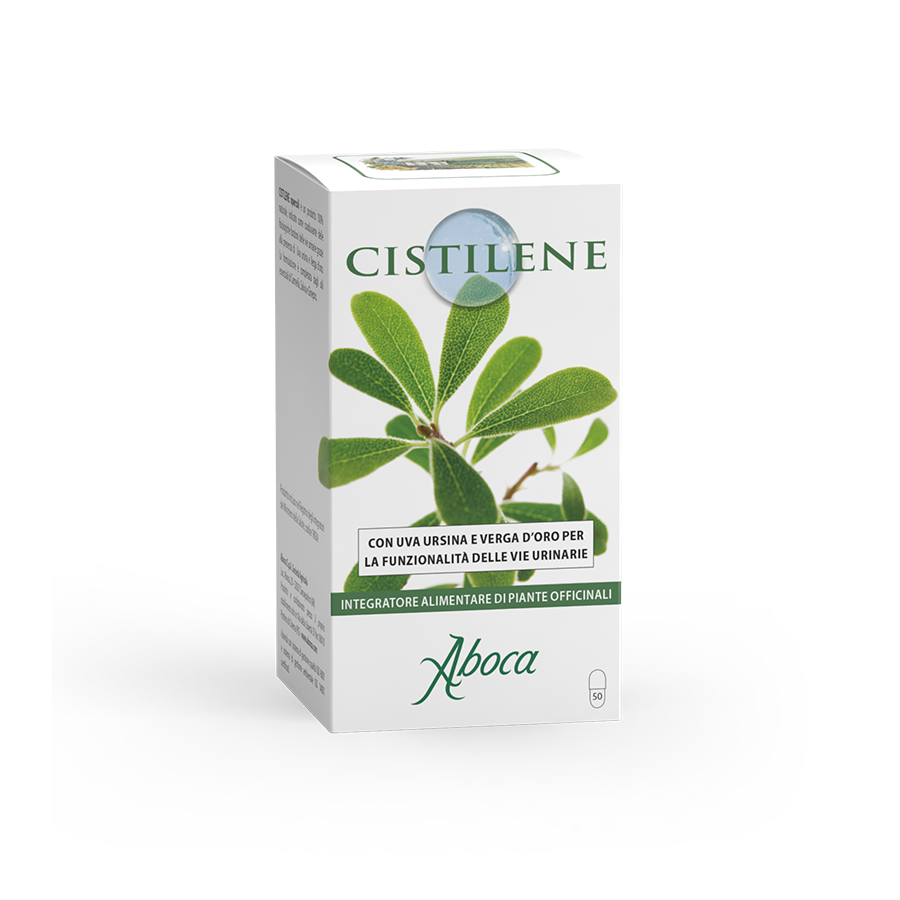 Cistilene
